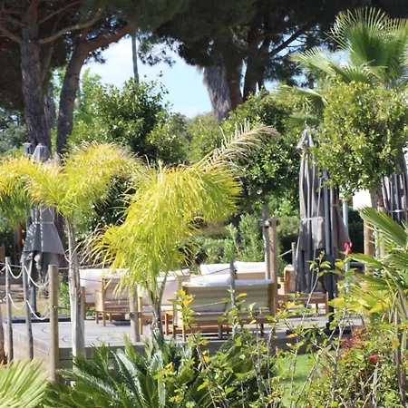 Apartment Beachfront Poggio Mezzana